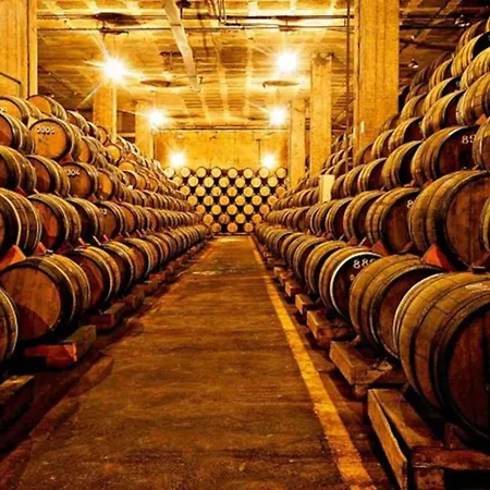 T1 Amplo E Repleto De Luz Junto A Pc Do Comercio - Self Check In 아파트 *