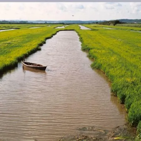아파트 T1 Amplo E Repleto De Luz Junto A Pc Do Comercio - Self Check In