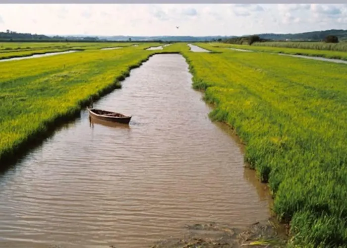 Apartamento T1 Amplo E Repleto De Luz Junto à Pç Do Comércio - Self Check In