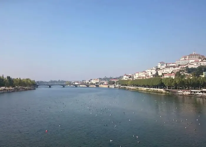 T1 Amplo E Repleto De Luz Junto à Pç Do Comércio - Self Check In *