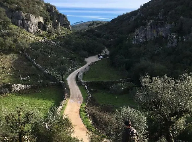 Apartamento T1 Amplo E Repleto De Luz Junto à Pç Do Comércio - Self Check In *