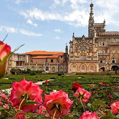 شقة T1 Amplo E Repleto De Luz Junto A Pc Do Comercio - Self Check In *