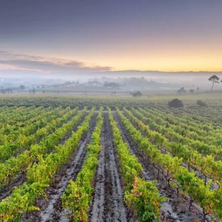 T1 Amplo E Repleto De Luz Junto A Pc Do Comercio - Self Check In شقة *