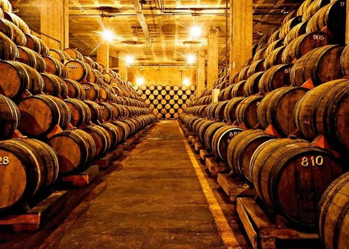 T1 Amplo E Repleto De Luz Junto A Pc Do Comercio - Self Check In Апартаменты *