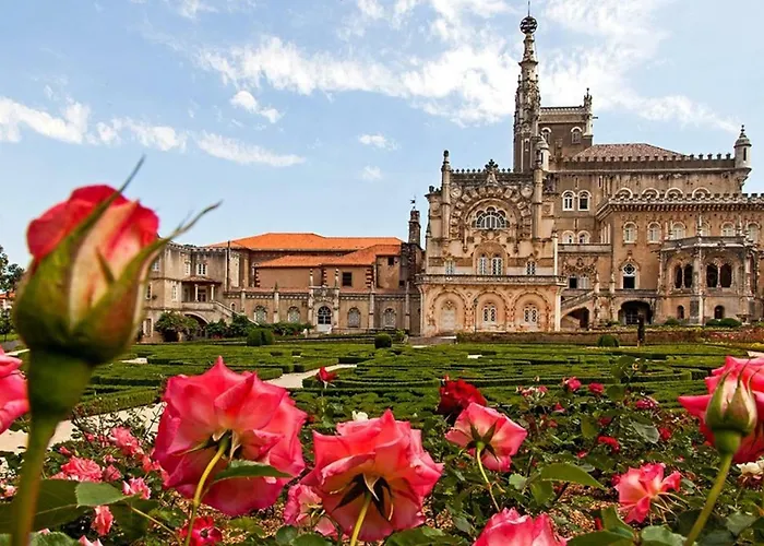 Апартаменты T1 Amplo E Repleto De Luz Junto A Pc Do Comercio - Self Check In *