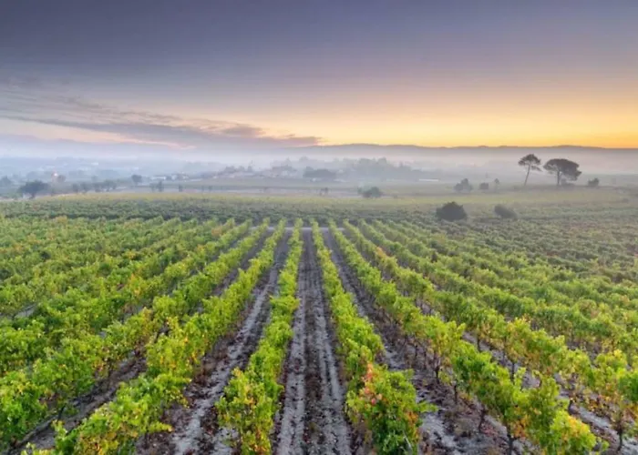 T1 Amplo E Repleto De Luz Junto A Pc Do Comercio - Self Check In Апартаменты *